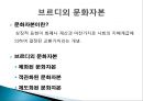 교육불평등,_문화_불평등의_현황과_문제점_및_대안방안 3페이지