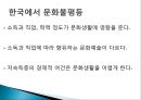 교육불평등,_문화_불평등의_현황과_문제점_및_대안방안 4페이지