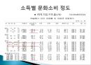교육불평등,_문화_불평등의_현황과_문제점_및_대안방안 5페이지
