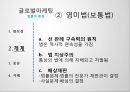 [글로벌마케팅] 법률적 환경.pptx 6페이지