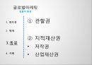 [글로벌마케팅] 법률적 환경.pptx 7페이지