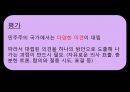  국회 날치기 법 통과 사례 분석 18페이지