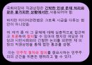  국회 날치기 법 통과 사례 분석 20페이지