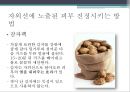 자외선 11페이지