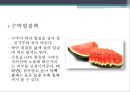자외선 12페이지