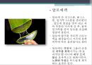 자외선 13페이지