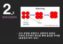 분말야금법 PPT 발표자료 6페이지