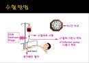 수혈 환자 간호 (수혈, 수혈 간호, 수혈  부작용).pptx 40페이지