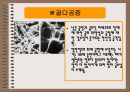  중년여성의 영양문제 (골다공증)  11페이지