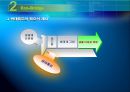 Road Kill (로드 킬) - 삶을 향한 위험한 선택...ppt 13페이지