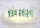 황소개구리, 그들은 정말 사라졌는가?.ppt 3페이지