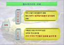 황소개구리, 그들은 정말 사라졌는가?.ppt 10페이지