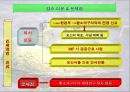 황소개구리, 그들은 정말 사라졌는가?.ppt 13페이지