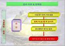 황소개구리, 그들은 정말 사라졌는가?.ppt 19페이지