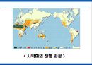 에너지 사용량 변화에 따른 생활환경의 변화 26페이지