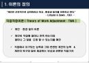  직업적응이론의 이해  3페이지