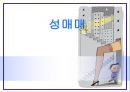 성매매의역사, 성매매의실태, 성매매실태 1페이지