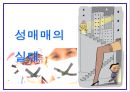 성매매의역사, 성매매의실태, 성매매실태 5페이지