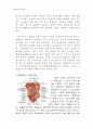 동물조직학 레포트,입과 구강(oral cavity)의 구조 6페이지