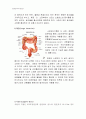 동물조직학 레포트,입과 구강(oral cavity)의 구조 8페이지