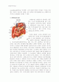동물조직학 레포트,입과 구강(oral cavity)의 구조 12페이지