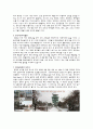 관광 특구 4페이지
