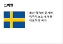 저출산에 대한 비교법적 고찰  3페이지