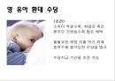 저출산에 대한 비교법적 고찰  12페이지