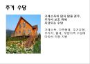 저출산에 대한 비교법적 고찰  14페이지
