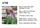 저출산에 대한 비교법적 고찰  21페이지