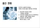 저출산에 대한 비교법적 고찰  25페이지