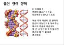 저출산에 대한 비교법적 고찰  29페이지