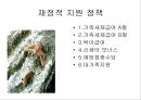 저출산에 대한 비교법적 고찰  32페이지