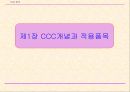 중국의 강제성 상품인증제도 2페이지
