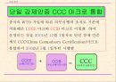 중국의 강제성 상품인증제도 4페이지