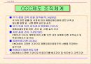 중국의 강제성 상품인증제도 8페이지
