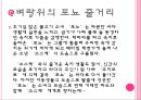 벼랑위의 포뇨 작품소개 4페이지