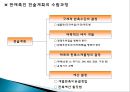 소비자 판매 촉진 29페이지