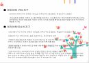  도시설계 case study(일본 오다이바) 12페이지