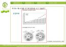 에너지 부족시대로 인한 문제의 해결사례 연구.pptx 7페이지