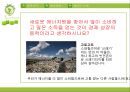 에너지 부족시대로 인한 문제의 해결사례 연구.pptx 14페이지