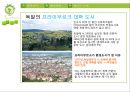 에너지 부족시대로 인한 문제의 해결사례 연구.pptx 22페이지