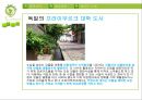 에너지 부족시대로 인한 문제의 해결사례 연구.pptx 25페이지