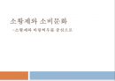 소황제와 소비문화, 바링허우와소비문화,소비문화 1페이지