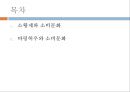 소황제와 소비문화, 바링허우와소비문화,소비문화 2페이지