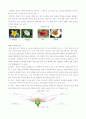  실험수업 꽃 관찰 3페이지
