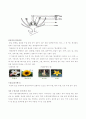  실험수업 꽃 관찰 4페이지