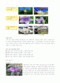  실험수업 꽃 관찰 5페이지
