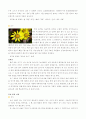  실험수업 꽃 관찰 8페이지