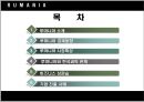 루마니아 소개 2페이지